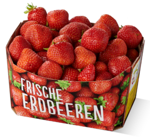 Küppers Obst Erdbeeren 1kg Schale (1)